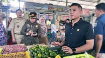 Langkah tegas ini menjadi upaya nyata DPRD DKI Jakarta dalam memastikan kestabilan harga bahan pokok. Dan meningkatkan pengawasan terhadap distribusi pangan di Jakarta