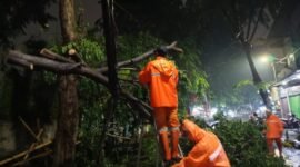 Terlihat dahan pohon itu menimpa atap rumah warga namun tertahan oleh kabel listrik dan internet yang membentang sehingga tidak menimbulkan kerusakan yang berarti, serta tidak menimbulkan korban jiwa. Namun akibatnya kabel-kabel itu menjuntai menyentuh aspal jalan.