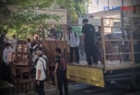 Siswa dan siswi Sekolah SMK PGRI 24 Jakarta mengangkut meja dan bangku sekolah dalam keadaan pintu gerbang di gembok,foto plus62/Rnt