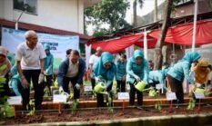 Wali Kota Jakpus Hadiri Tanam Serentak Dukung Ketahanan Pangan Keluarga