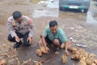 Foto Personel Bhabinkamtibmas Sat Binmas Polres Metro Tangerang Kota menyambangi pedagang kelapa parut di Pasar Babakan, Kota Tangerang, Jumat (14/11/2025), dalam rangka memperkuat kemitraan dan menjaga stabilitas Kamtibmas (Dok.Istimewa)