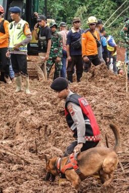 Pencarian Korban Longsor Cibeunying Hari Ke-4: Bantuan Unit K-9 Percepat Penemuan Korban, Total 13 Orang Ditemukan