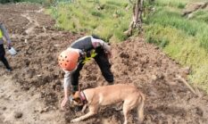 Unit K9 Polda Jateng Berhasil Deteksi Tiga Titik Jejak Korban di Lokasi Bencana Pandanarum