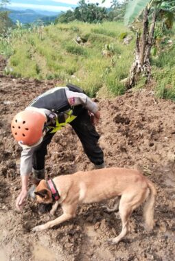 Unit K9 Polda Jateng Berhasil Deteksi Tiga Titik Jejak Korban di Lokasi Bencana Pandanarum