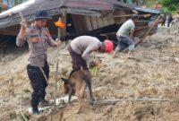 Anjing pelacak ini dikerahkan untuk mempercepat proses identifikasi dan penemuan korban