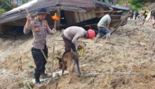 Anjing pelacak ini dikerahkan untuk mempercepat proses identifikasi dan penemuan korban