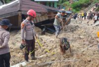 proses penggalian dan evakuasi di titik-titik yang telah ditemukan oleh anjing K-9