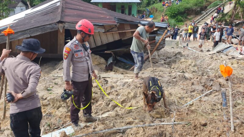 proses penggalian dan evakuasi di titik-titik yang telah ditemukan oleh anjing K-9