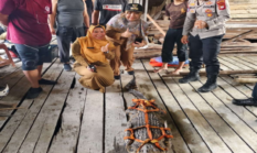 Sinergi Polri dan PPS Kalbar Gercep Amankan Buaya Sepanjang 2 Meter