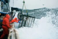 Sumber poto : https://www.businessinsider.com/corey-arnolds-photos-of-crab-fishing-on-the-bering-sea-2014-8