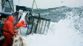 Sumber poto : https://www.businessinsider.com/corey-arnolds-photos-of-crab-fishing-on-the-bering-sea-2014-8