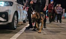 Pengamanan Diperketat, Polda Banten Kerahkan K9 di Dermaga Eksekutif Merak