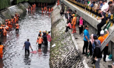 Arifin Pimpin Pengendalian Ikan Sapu-Sapu di Jakpus