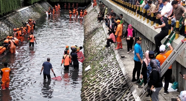 foto slider headline