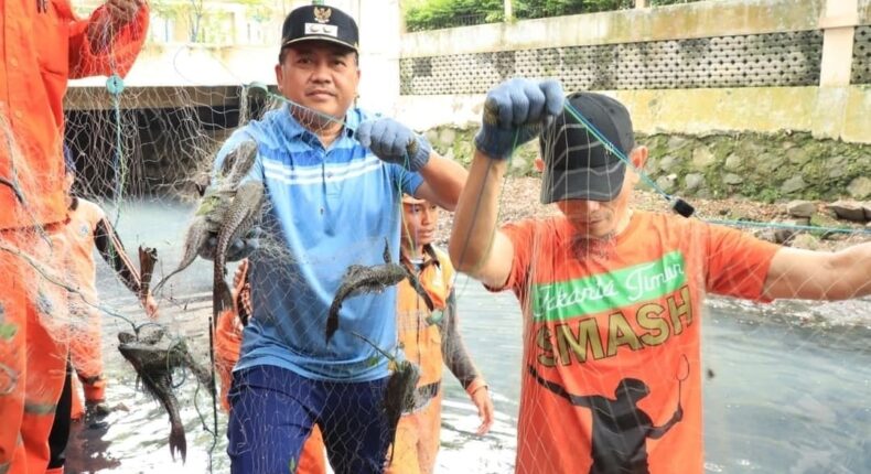 foto slider headline