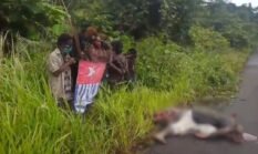 Tiga Warga Sipil Meninggal dalam Insiden Kekerasan di Yahukimo, Aparat Lakukan Penyelidikan